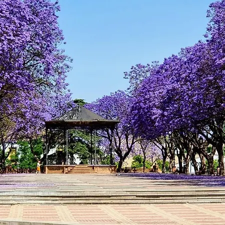 Alazan Jerez Ii-parking Gratis-wifi Jerez de la Frontera