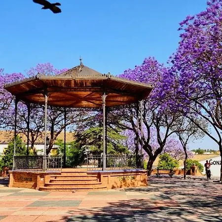 Alazan Jerez Ii-parking Gratis-wifi